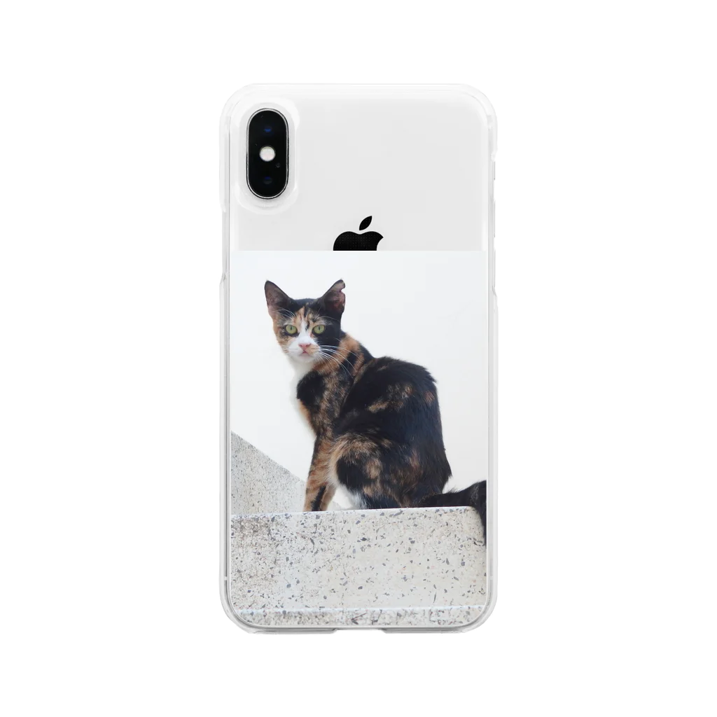 momoニャンカフェの猫好きの聖地、マルタ島の猫さん Soft Clear Smartphone Case