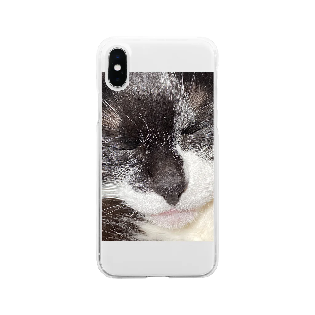 昼寝猫🐈‍⬛の昼寝する猫2 Soft Clear Smartphone Case