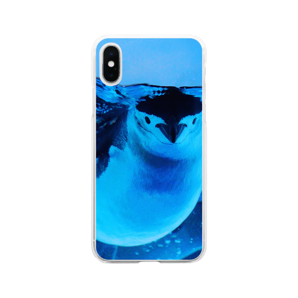 ペンギンの写真のヒゲペンギン　写真　リアル Soft Clear Smartphone Case