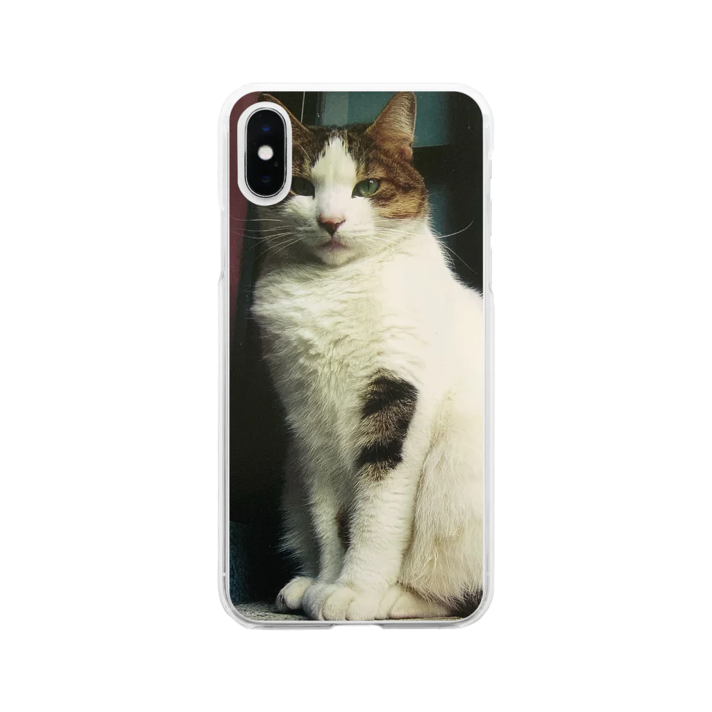 電気羊研究所science&GAMEのチラッと猫 Soft Clear Smartphone Case