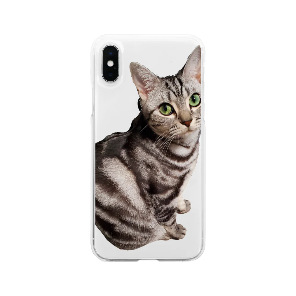 MochiTabbyのたちゅねこ Soft Clear Smartphone Case