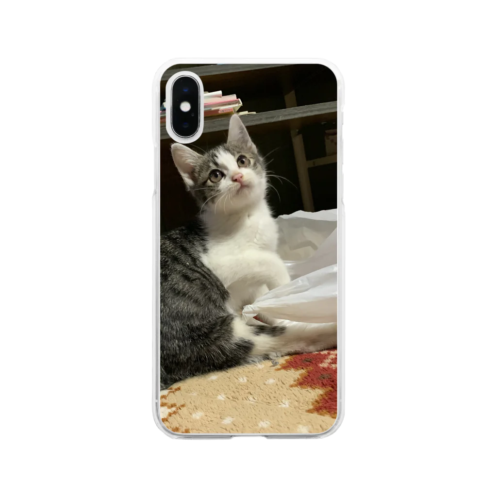 赤星のうちのにゃんこ Soft Clear Smartphone Case