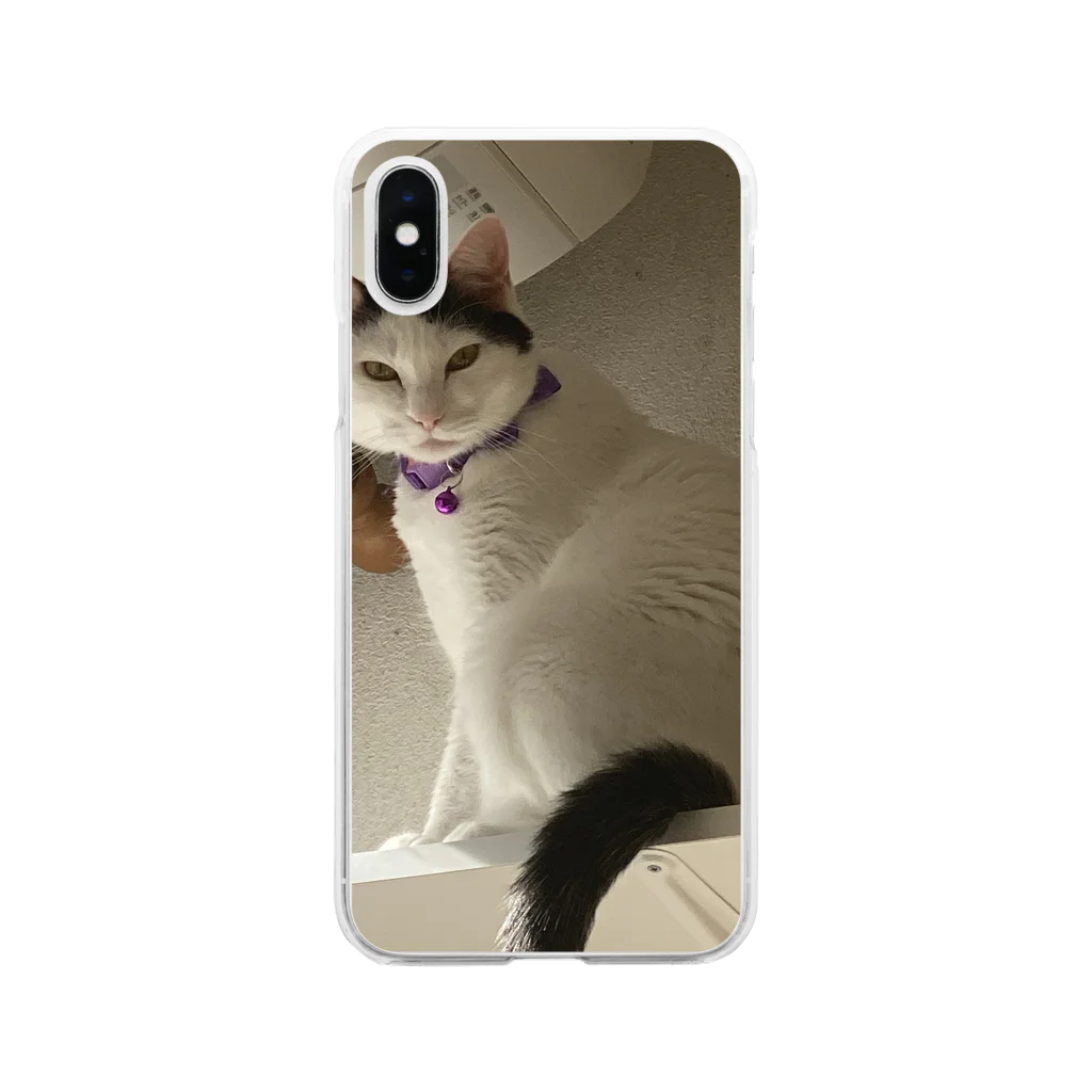 かペ＆うしお猫もふもふの雨汐ちゃん Soft Clear Smartphone Case