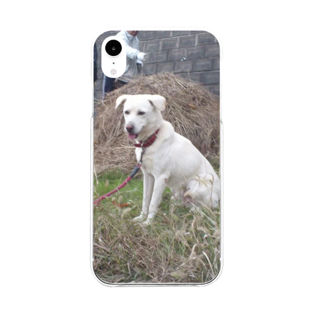 ちなおの我が家の愛犬　バンくん Soft Clear Smartphone Case