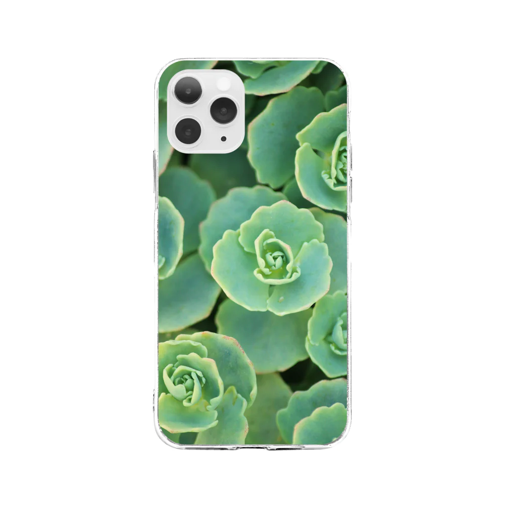 Tabbiesの多肉植物 Soft Clear Smartphone Case