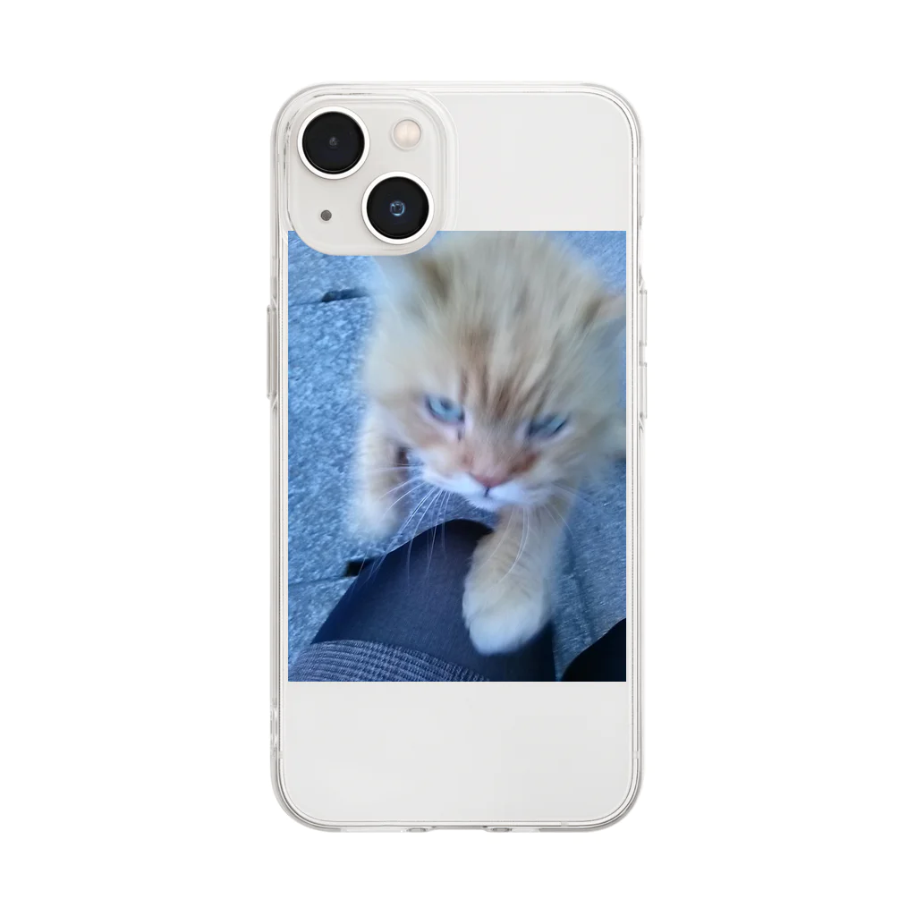 kaeruのちゃみちゃん Soft Clear Smartphone Case