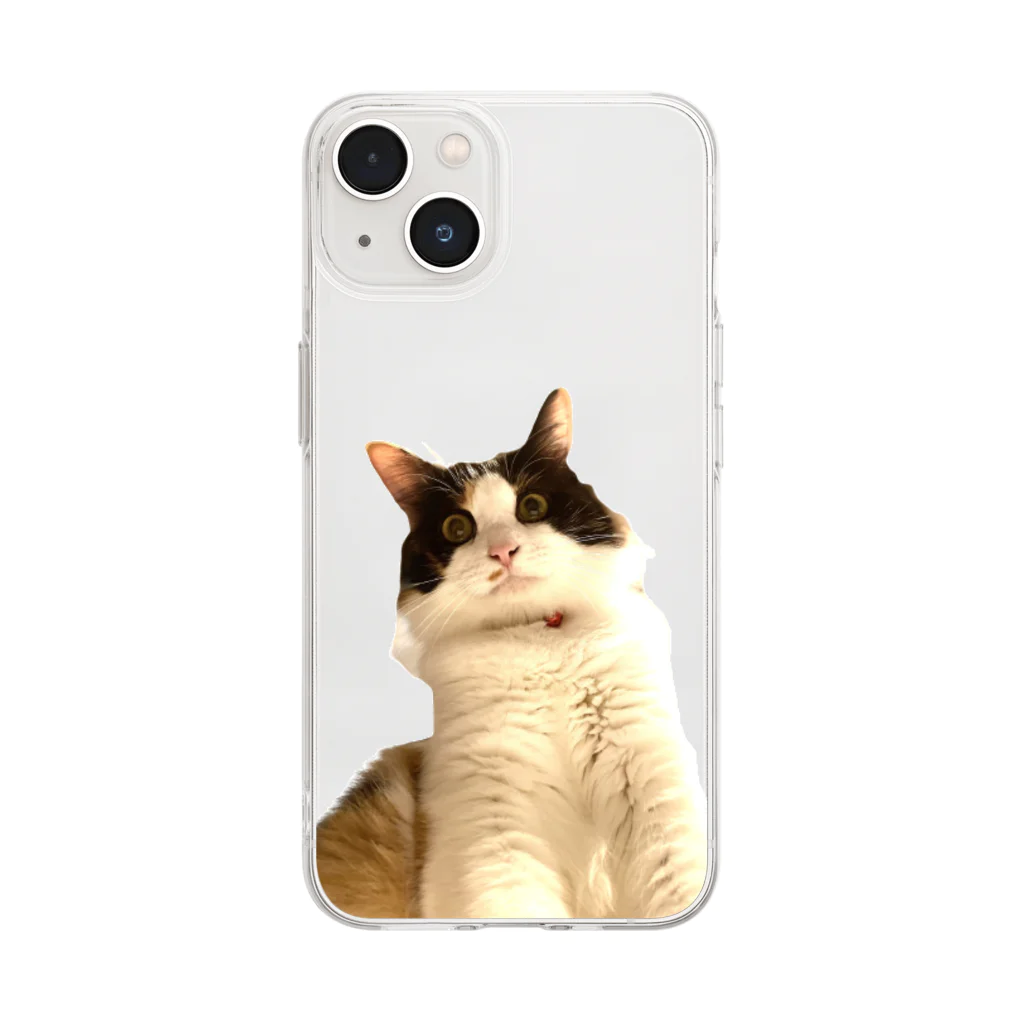 三毛猫の朝と黒猫の夜@好奇心倶楽部のホラーな三毛猫の朝（シンプル） Soft Clear Smartphone Case