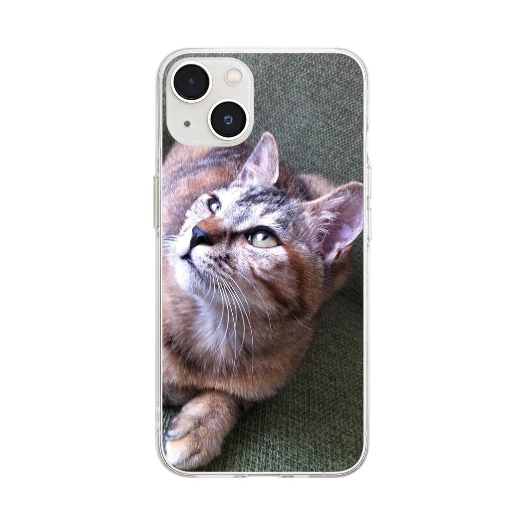 🌸さくらねこ見守り隊🌸のはなちゃん Soft Clear Smartphone Case