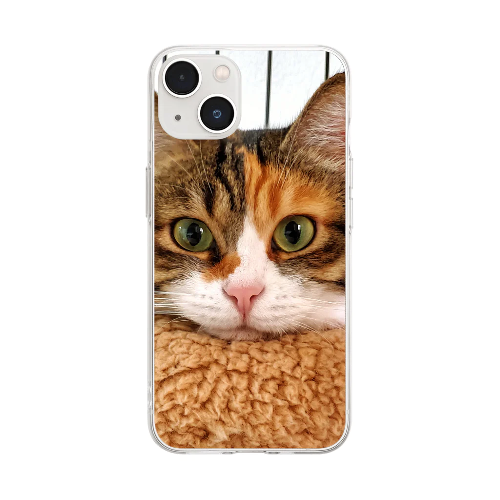 はなのははの赤鼻のはなちゃん Soft Clear Smartphone Case