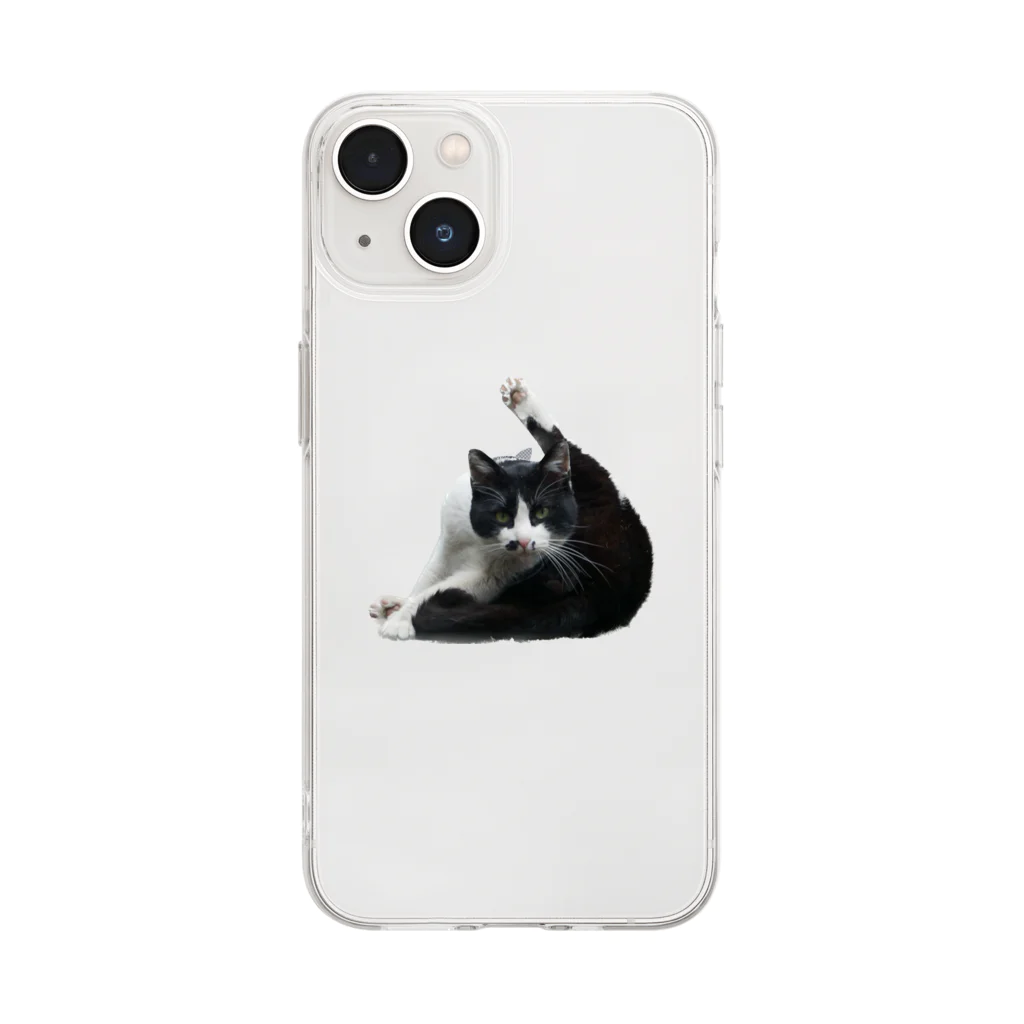 sukiatsumeのセクシーポーズ猫 Soft Clear Smartphone Case