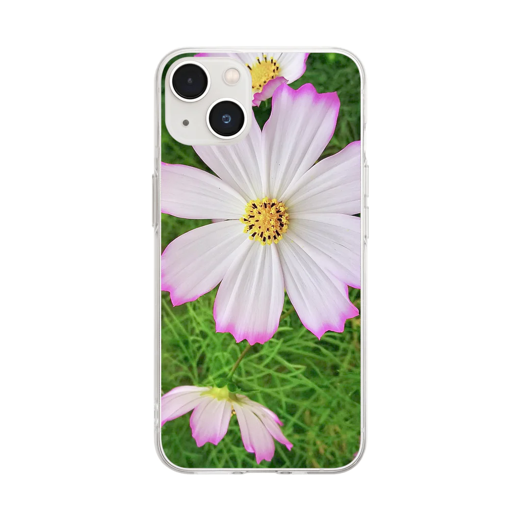 LalaHangeulの秋桜　縁取り Soft Clear Smartphone Case