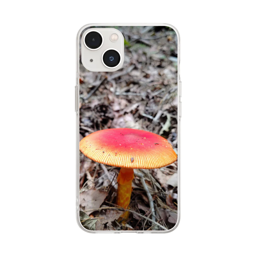 癒やしの力を与えし者の🍄 Soft Clear Smartphone Case