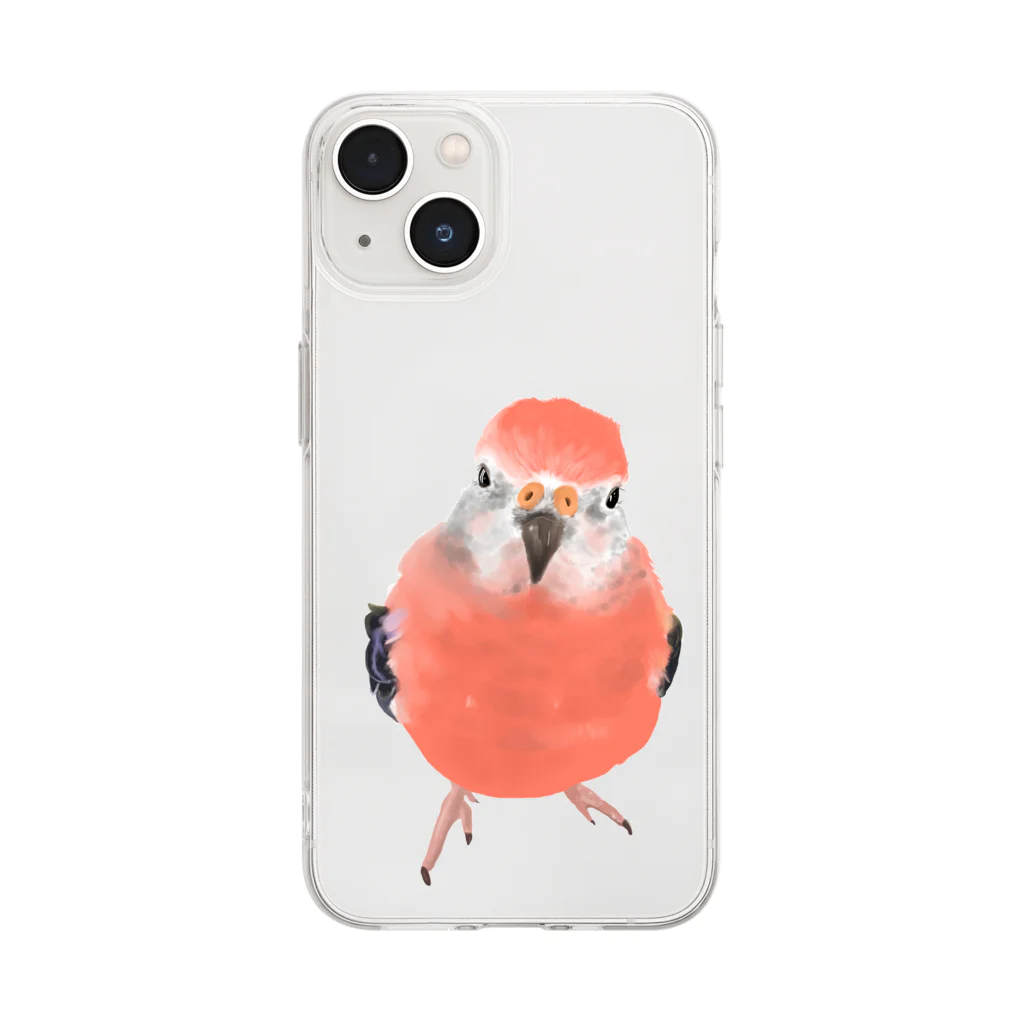 アキクサインコとウロコインコのアキクサインコ Soft Clear Smartphone Case