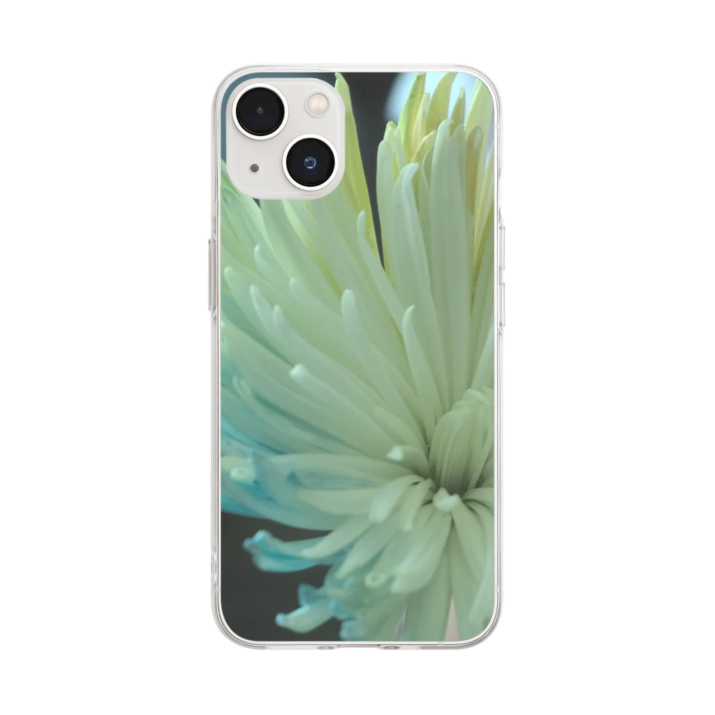 bloomのCOLOR Soft Clear Smartphone Case