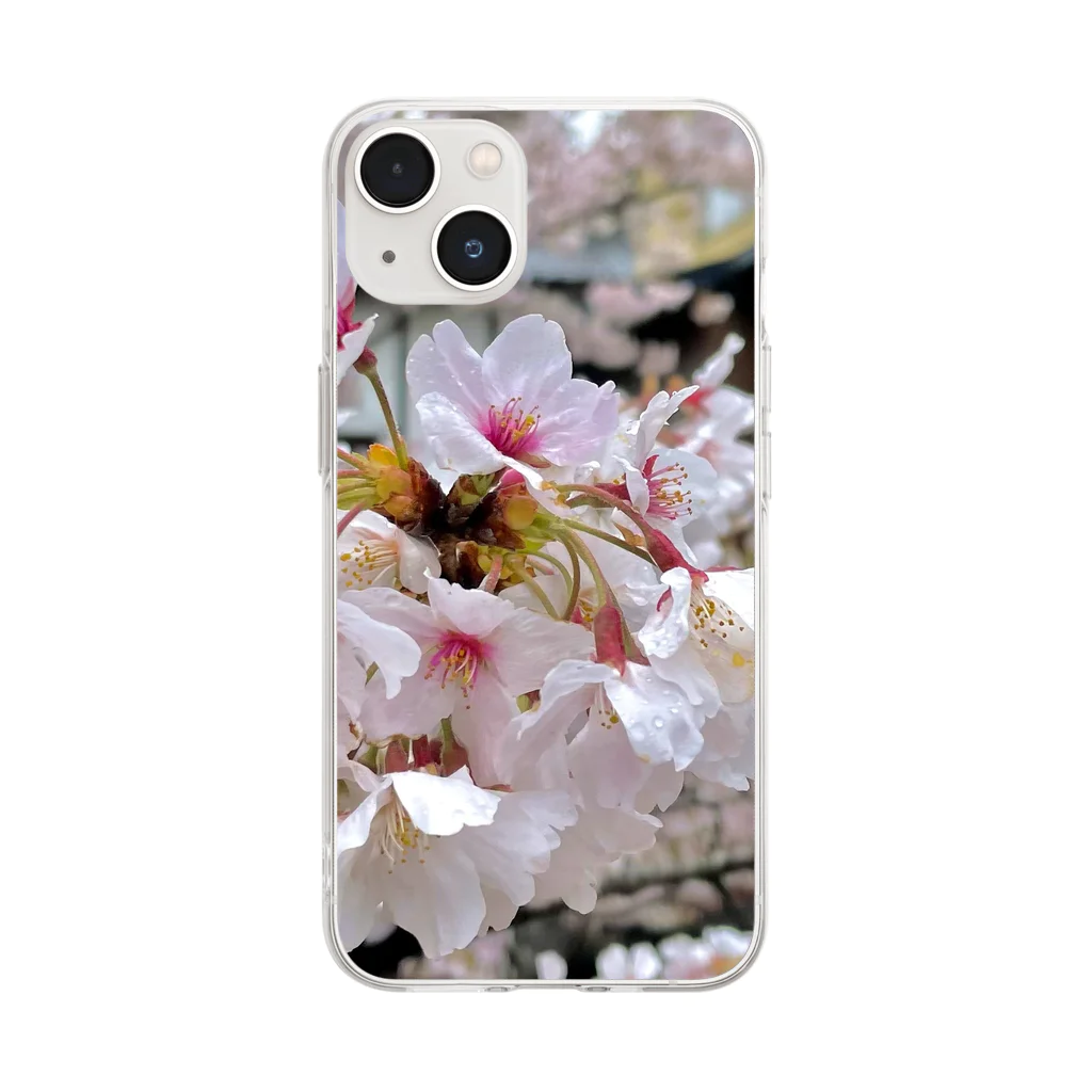 sceneryの桜 Soft Clear Smartphone Case