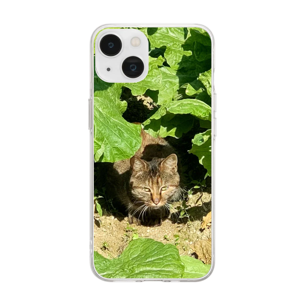 くまくま農園の白菜畑の雉虎 Soft Clear Smartphone Case