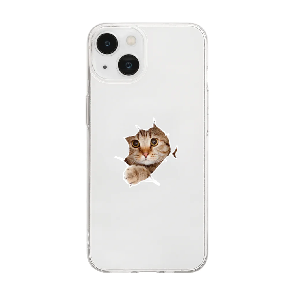 orange_honeyの猫22 Soft Clear Smartphone Case