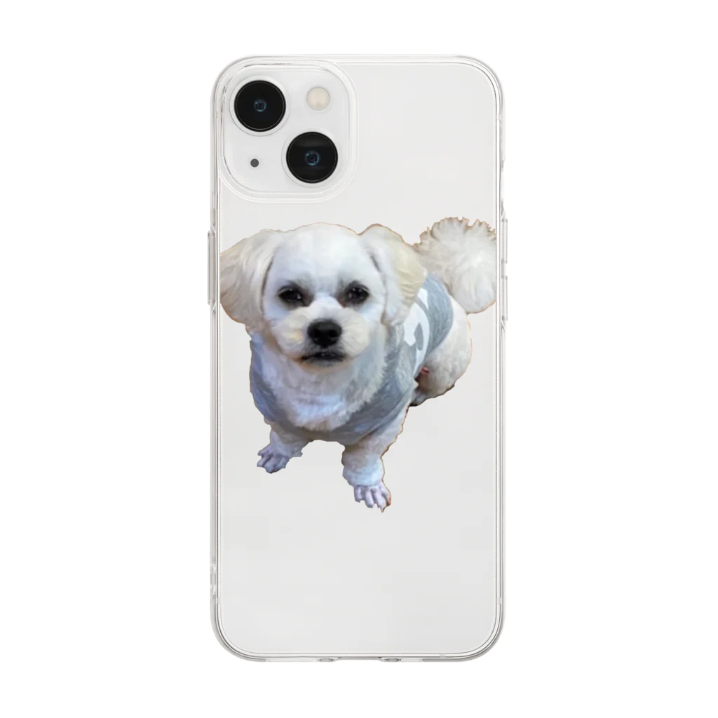 ソラプーのイケメン犬 Soft Clear Smartphone Case