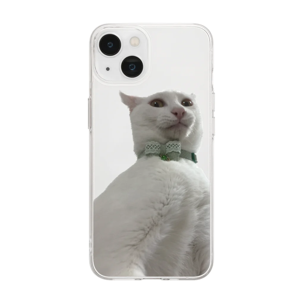 花鶴亀商店の鳩胸亀 Soft Clear Smartphone Case