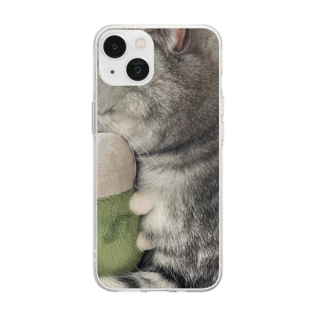 飼い主ののちゃんとマブ Soft Clear Smartphone Case