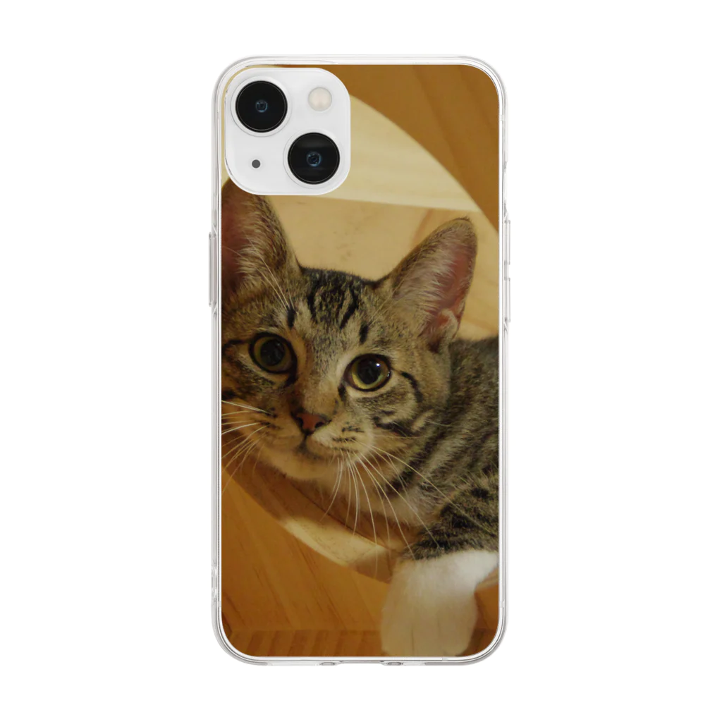 わたなべ家のキャットウォークでご機嫌九ちゃん Soft Clear Smartphone Case