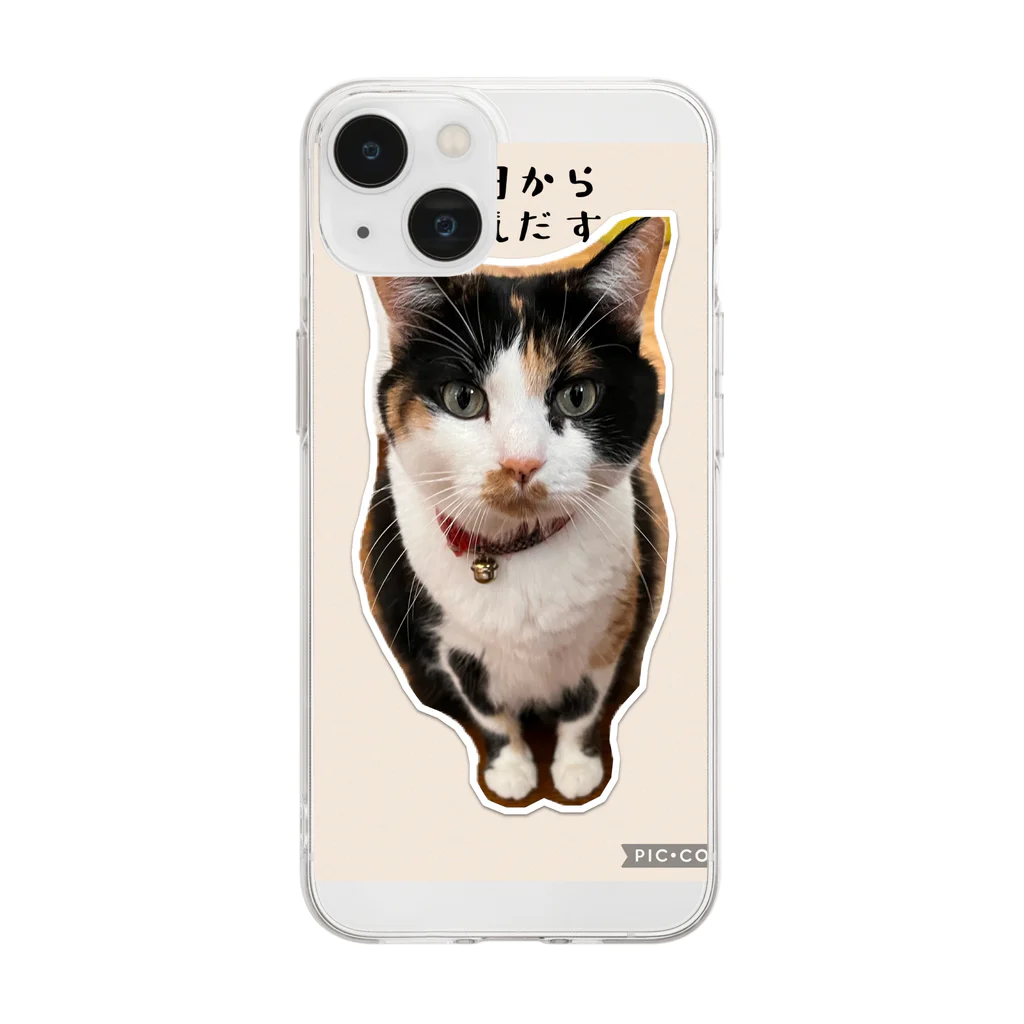 じろきちels-02cの三毛猫なっちゃん、 Soft Clear Smartphone Case