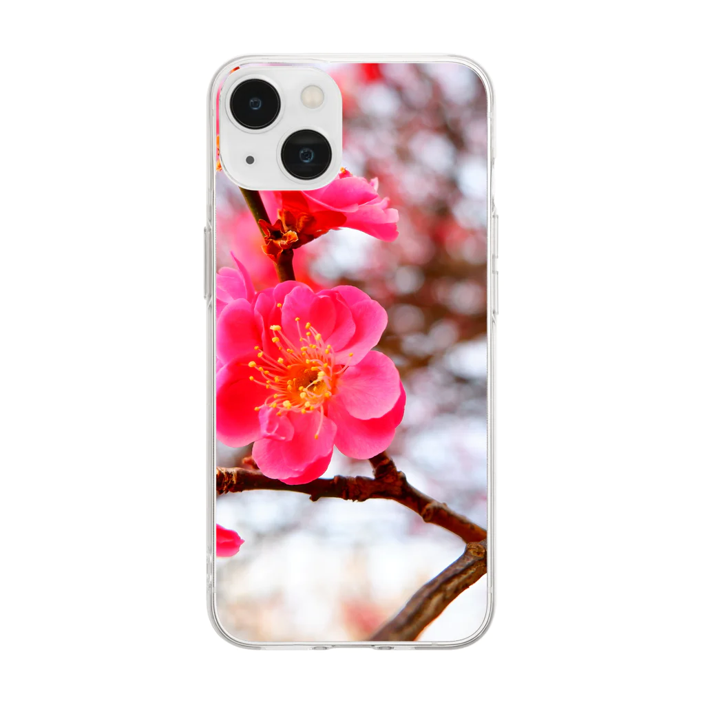 dandelionの紅梅 Soft Clear Smartphone Case