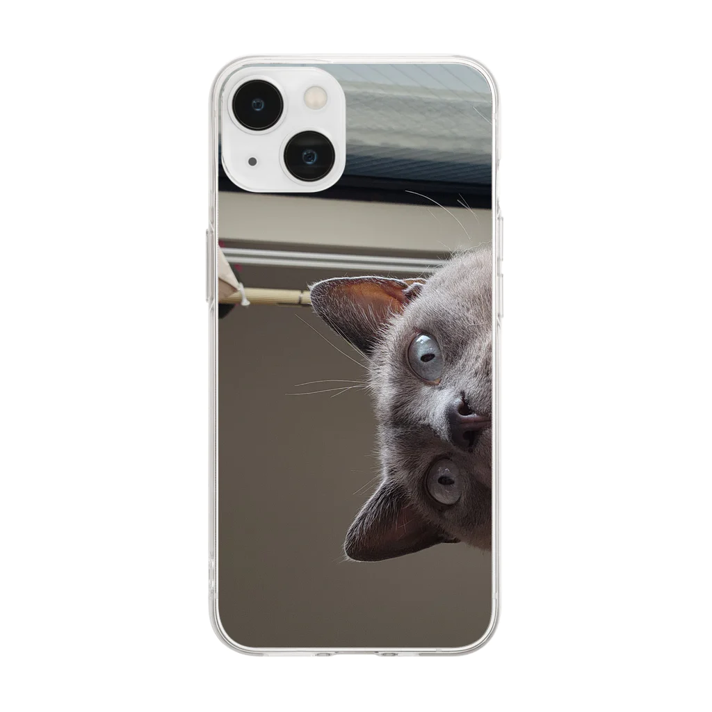 狸の信楽焼の覗猫 Soft Clear Smartphone Case