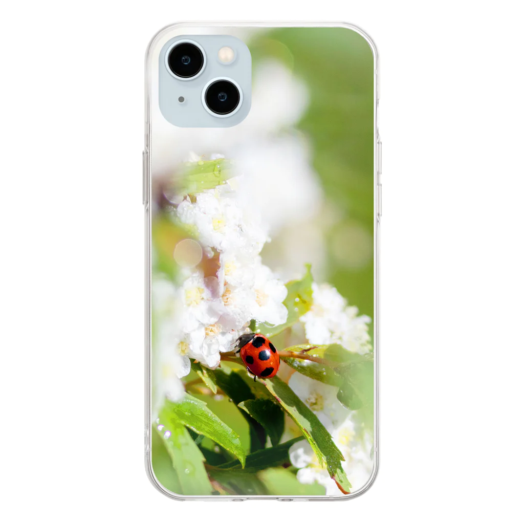 akane_art（茜音工房）の花フォト（てんとう虫とコデマリ） Soft Clear Smartphone Case