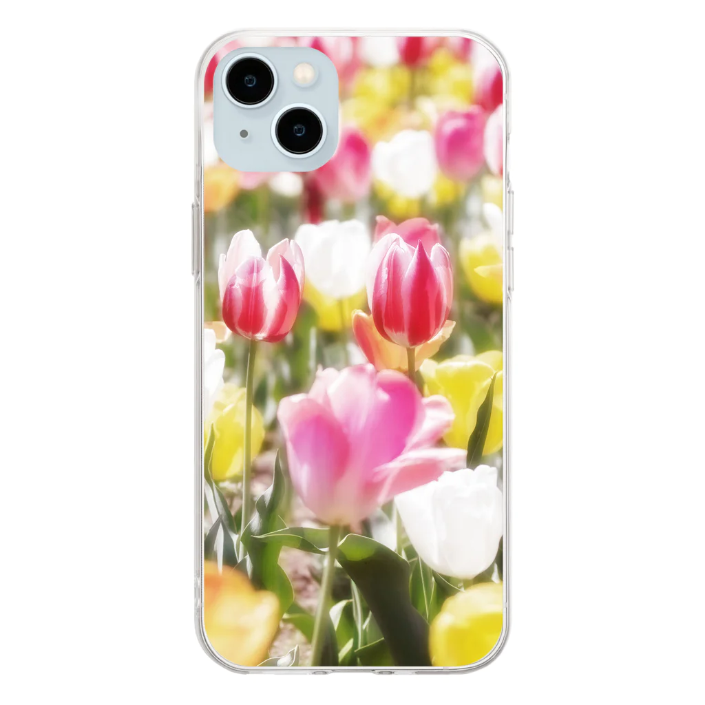 akane_art（茜音工房）の花フォト（チューリップ） Soft Clear Smartphone Case