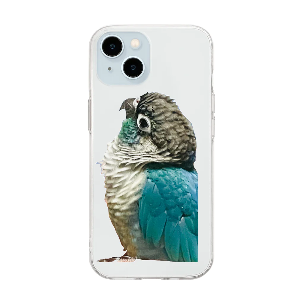 ウロコインコ好きの人へのなにみてるの？ Soft Clear Smartphone Case