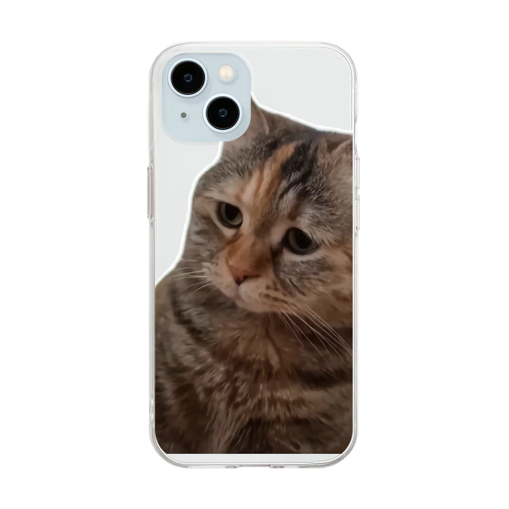 猫ミームグッズの【猫ミーム】叱られる猫 Soft Clear Smartphone Case