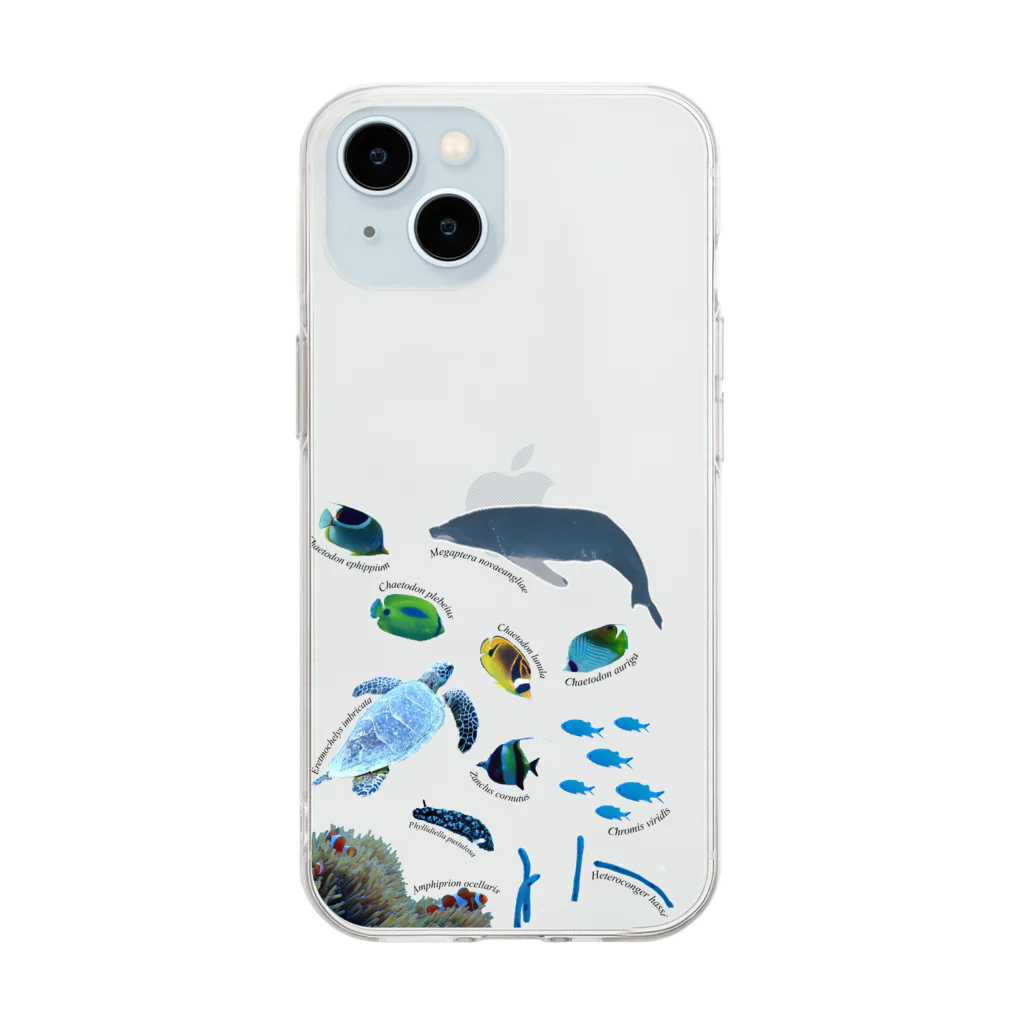 L_arctoaの沖縄の海の生き物 Soft Clear Smartphone Case