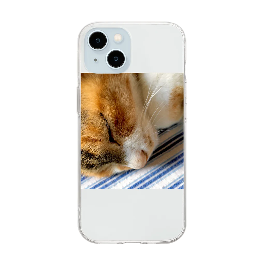 ねこちゃんが大好きなのです。の愛猫れいにゃんのグッズ Soft Clear Smartphone Case