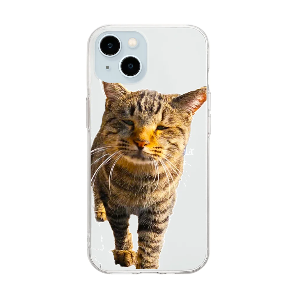 猫島のじかんのごめ～んにゃさい Soft Clear Smartphone Case