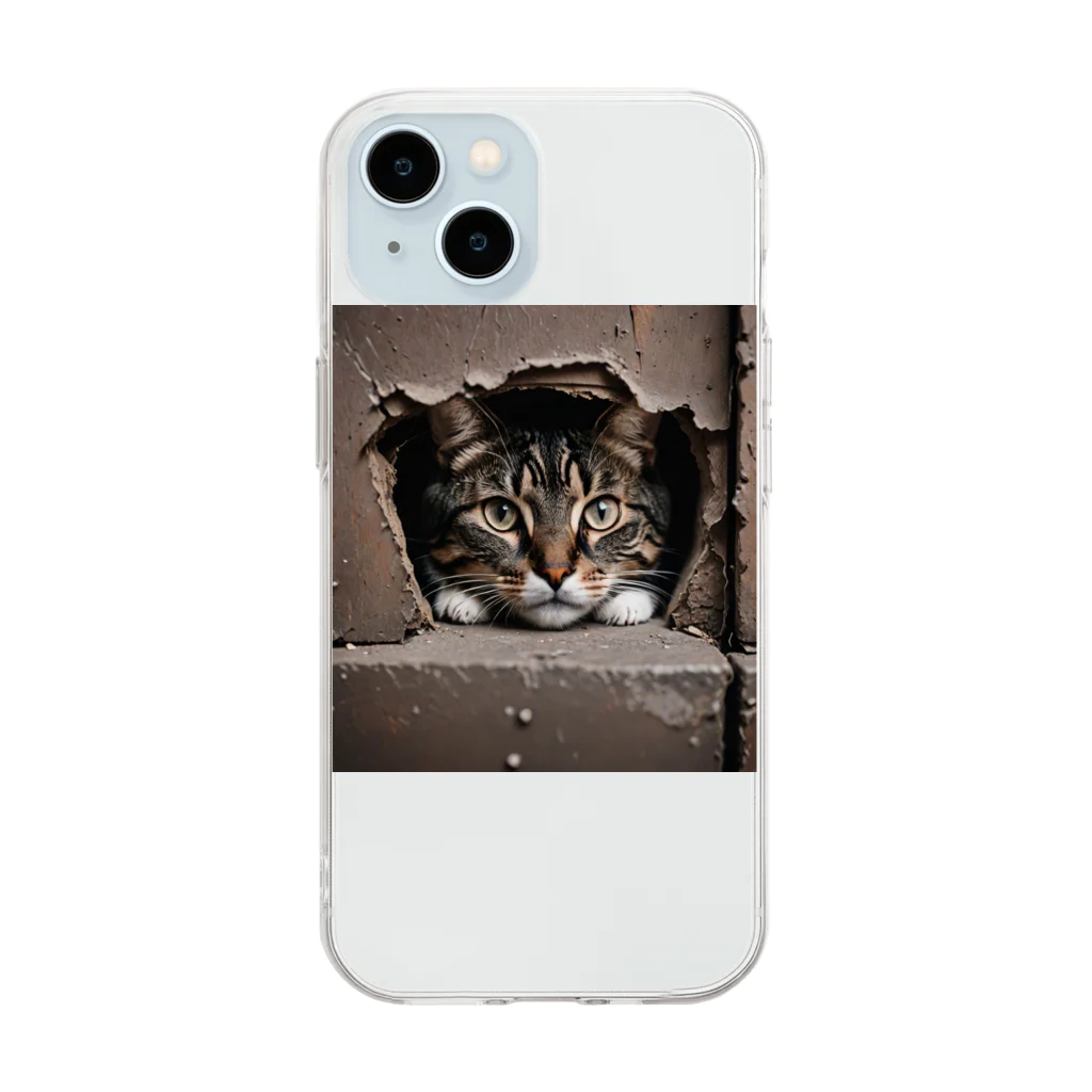 jaguar3の隙間からこんにちは猫 Soft Clear Smartphone Case