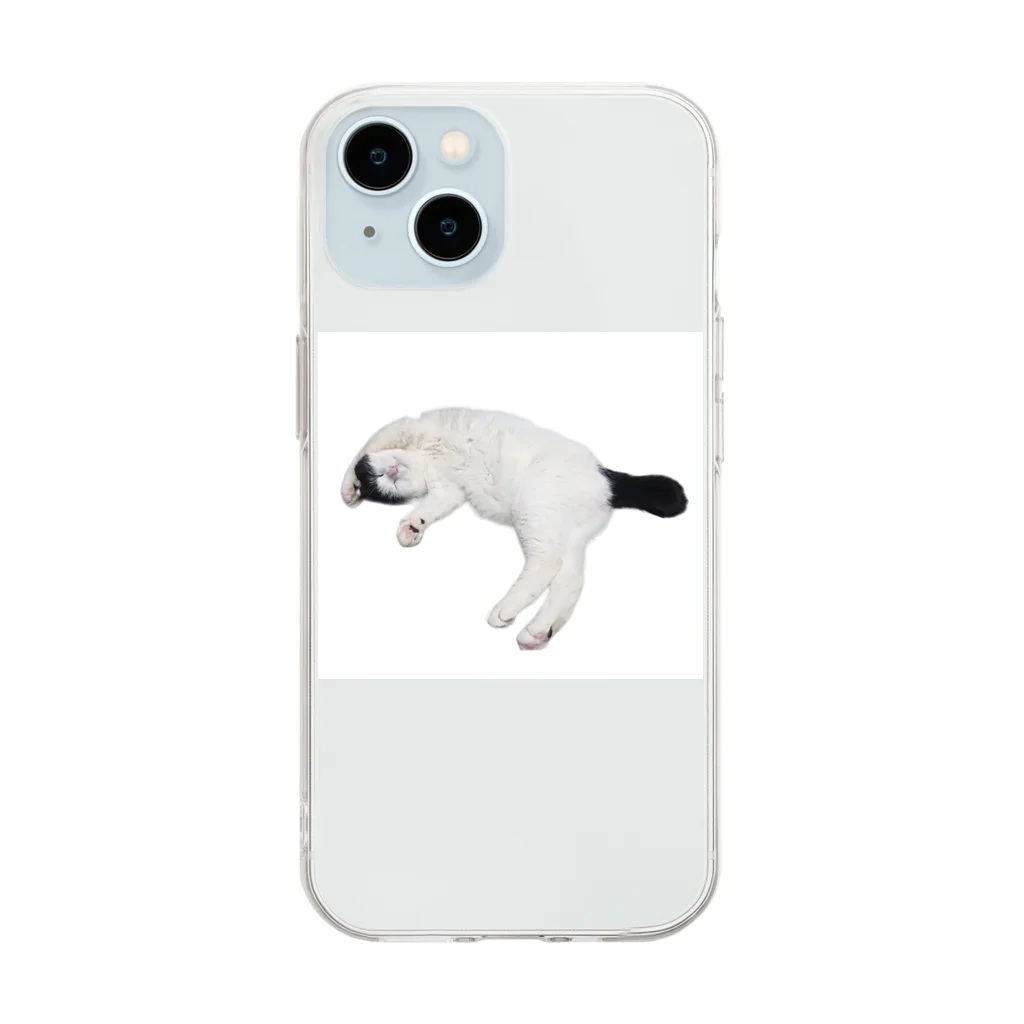 クリスタの尻尾が短い保護猫 たぬちゃん Soft Clear Smartphone Case