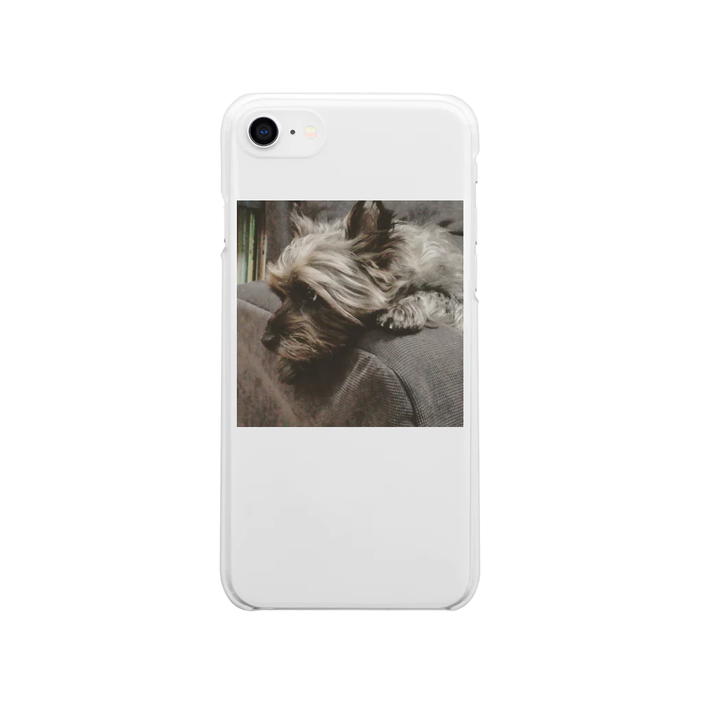 SZTKの犬/ケアンテリア3 Soft Clear Smartphone Case