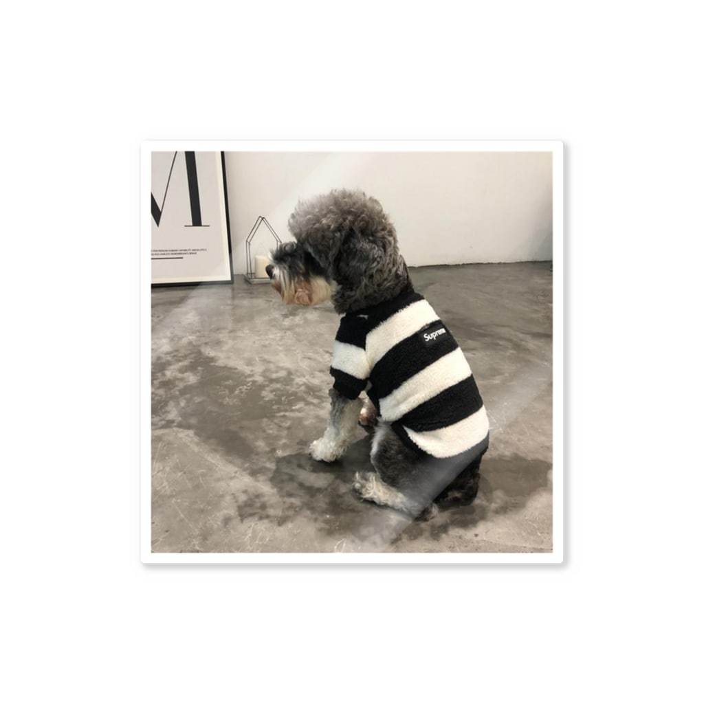 シュプリーム 犬猫服 ブランド パロディ パーカー グッチ 春秋冬のペット服 激安通販 Caseiuh012のステッカー通販 Suzuri スズリ