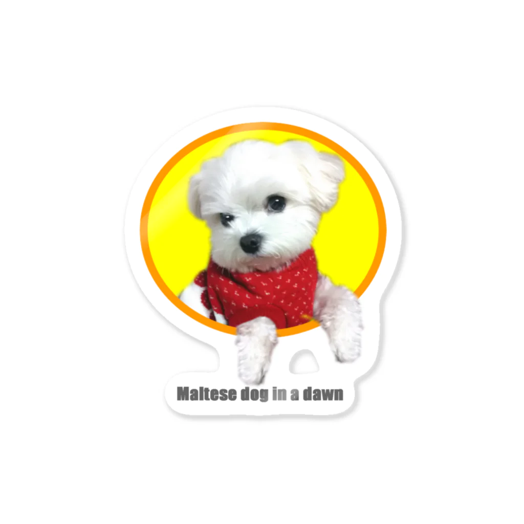 マルチーズ本舗 （夜明けのマルチーズ グッズショップ －Specialty Store for Maltese Puppy Goodsー） Cute and Cool Puppy Goods Store.の 夜明けのマルチーズ （ Cute and cool puppy. ） Sticker