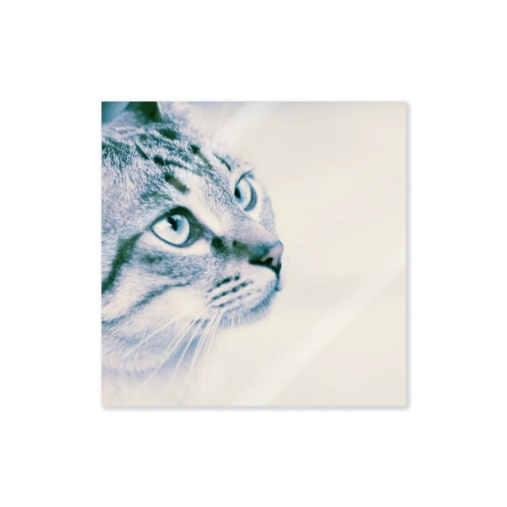 0isall_zoologicalの猫部2 Sticker