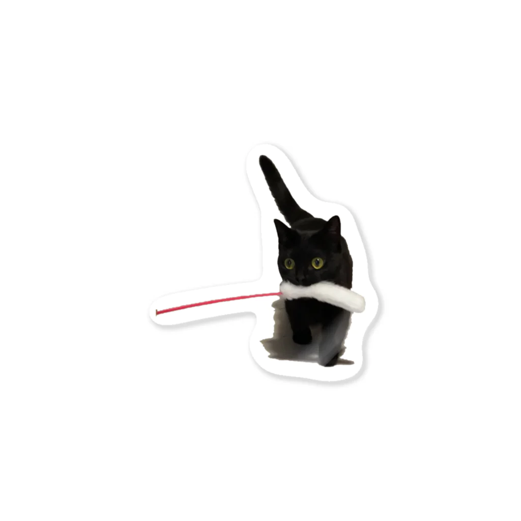 かわいい黒猫ハーブ🌿の「これで遊んでー！！」2 Sticker