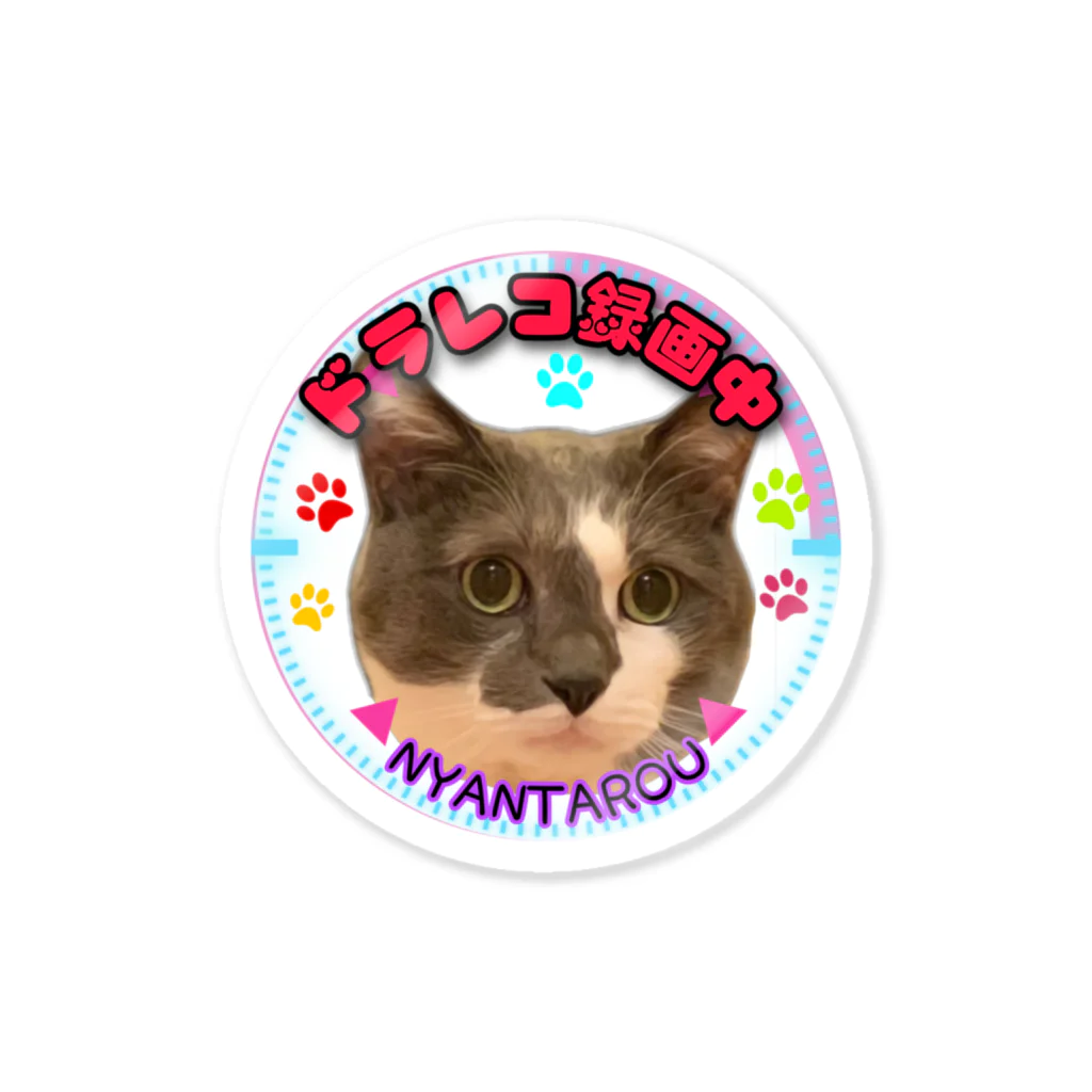 くぅTikTok猫部のにゃん太郎ドラレコ録画中ステッカー Sticker