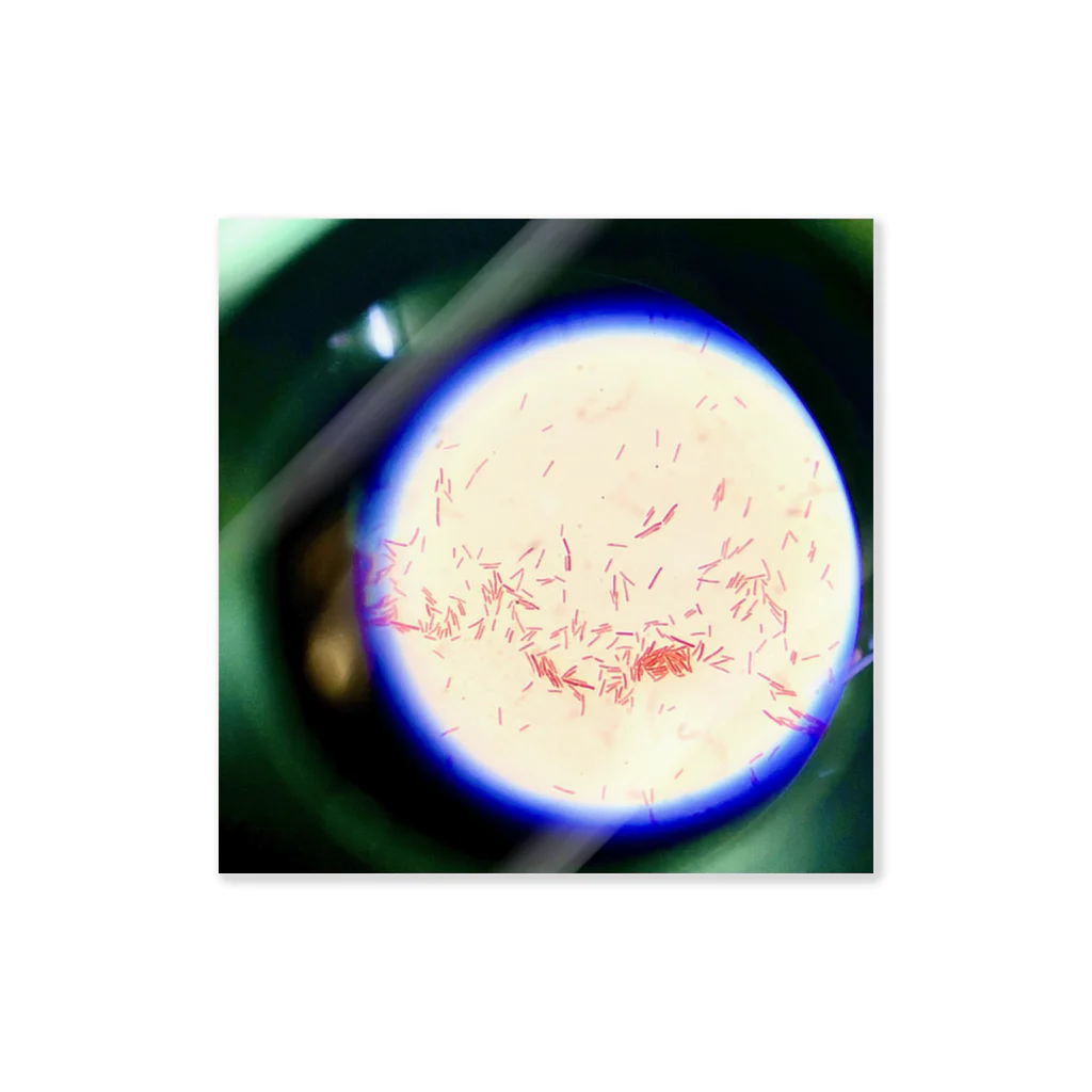 かぼす(BOSS)のGram-negative bacilli Micrograph ステッカー