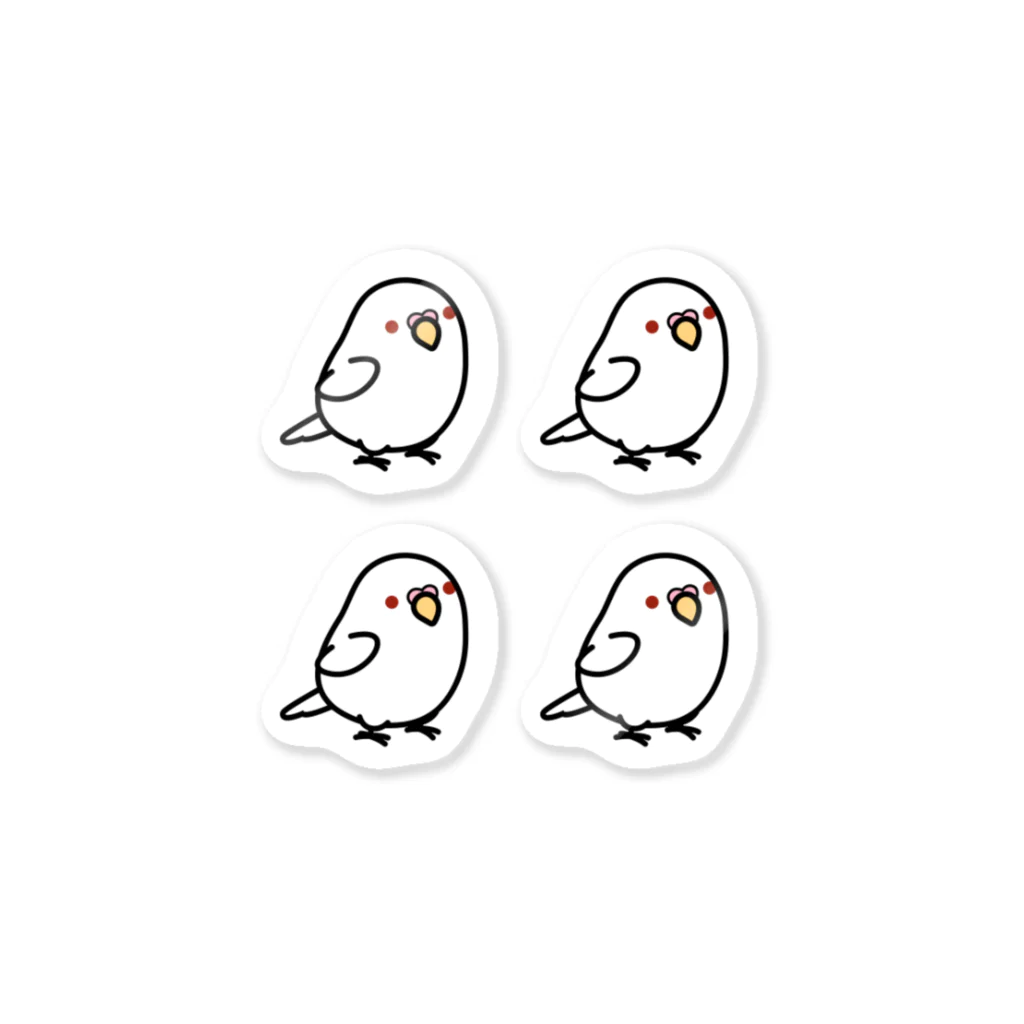 Cody the LovebirdのChubby Bird セキセイインコ　アルビノ　 ステッカー