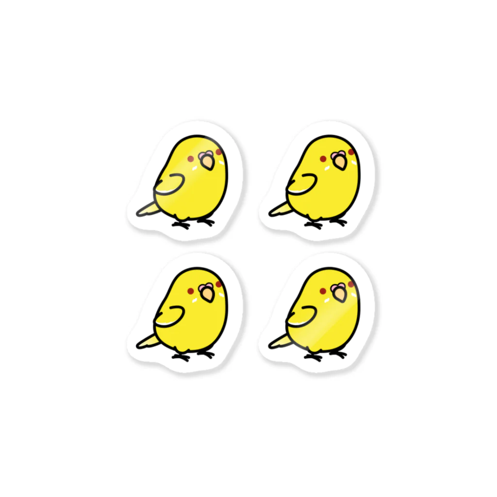 Cody the LovebirdのChubby Bird セキセイインコ　ルチノー　 Sticker