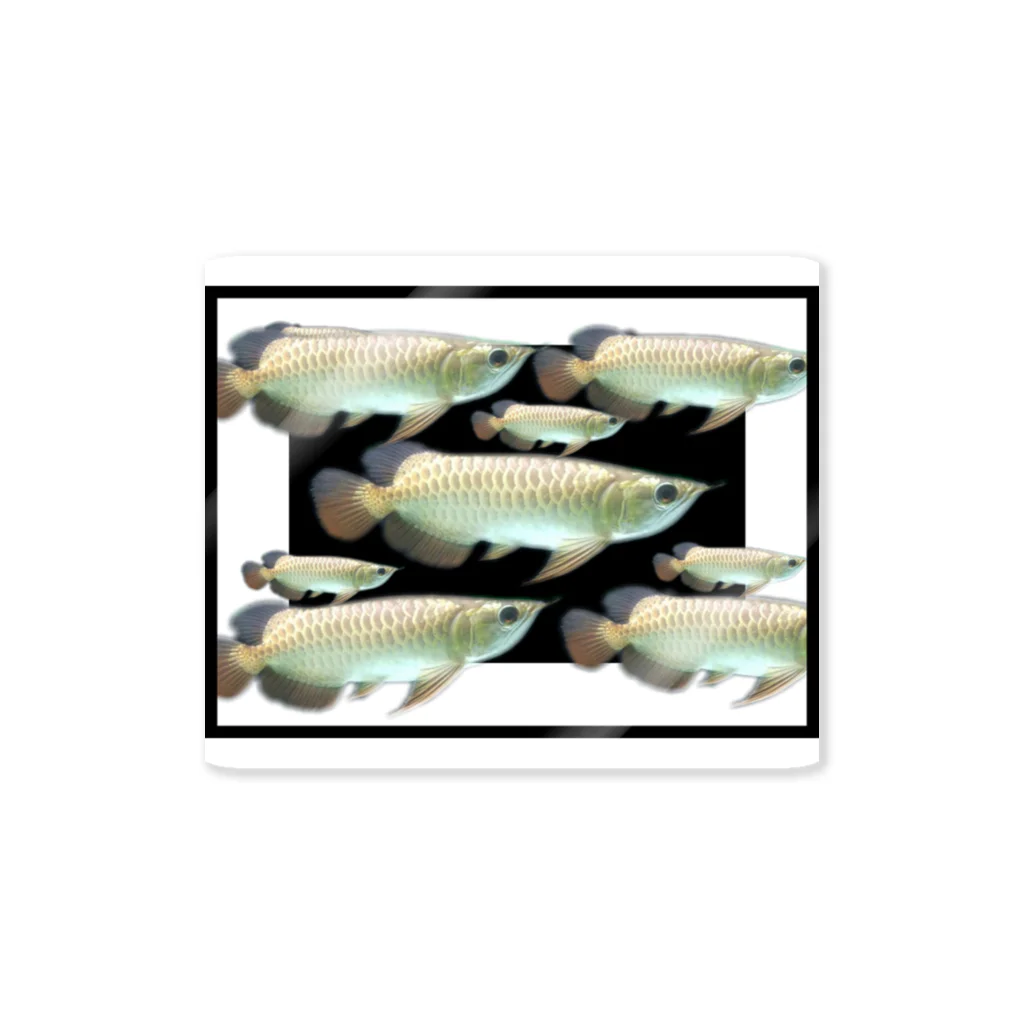 海水魚保有♣のカセキンpart2 ステッカー