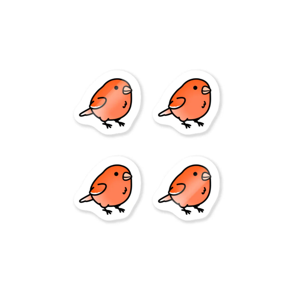 Cody the Lovebirdの Chubby Bird カナリア　レッド　 ステッカー