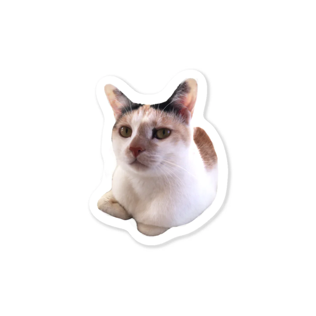 nekonokoのミケねこです。 Sticker