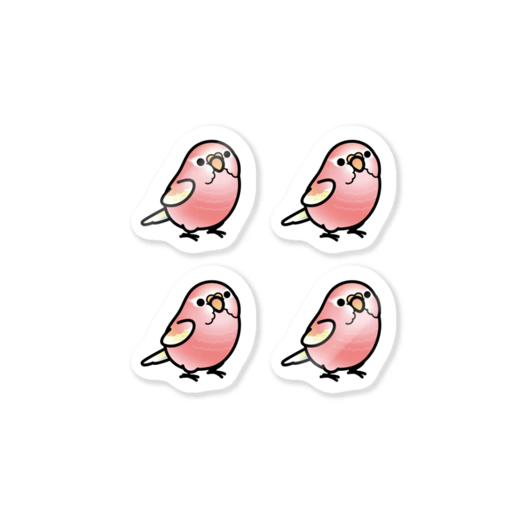 Cody the LovebirdのChubby Bird アキクサインコ　ルビノー　 Sticker